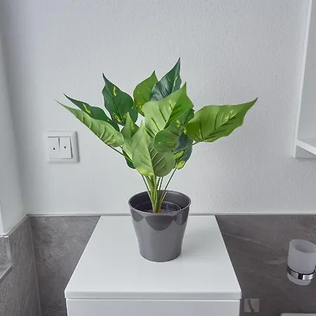 Apartmán Zur Lustigen Gabi *