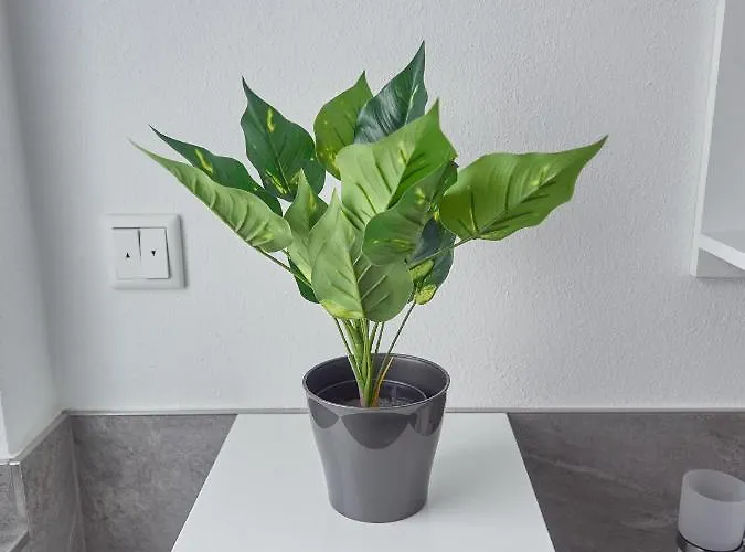 Appartamento Zur Lustigen Gabi *